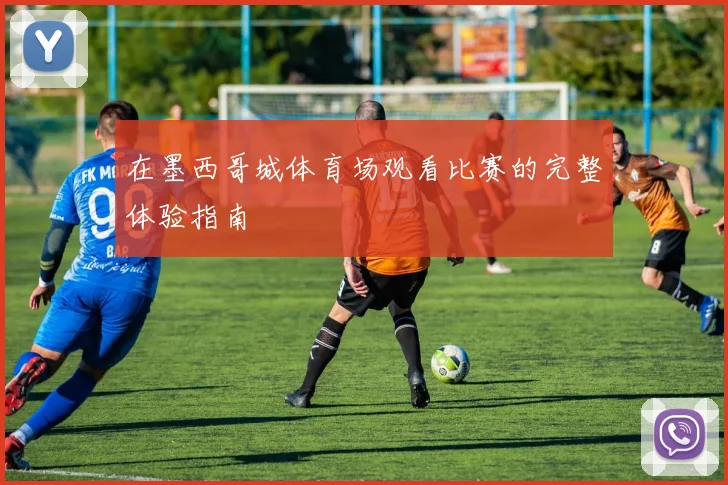 在墨西哥城体育场观看比赛的完整体验指南